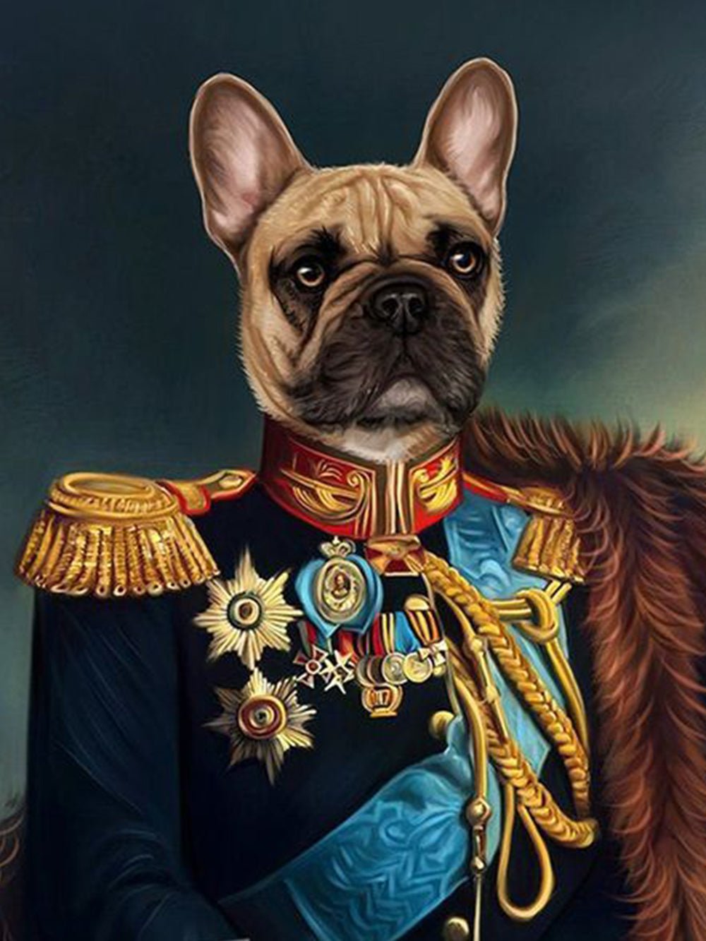 Alexander Suvorov Custom Pet Portrait, Royal Pet Portrait | Turn Me Cartoons